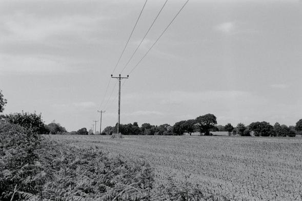 Power Lines stretching into the distance