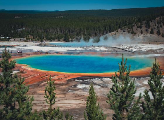 A large blue hot spring with a boardwalk, rainbow-colored edges and trees framing the bottom.
