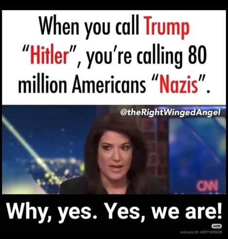 "When you call Trump,"Hitler," you're calling 80 million Americans,"Nazis. ""

Why, yes. Yes, we are!