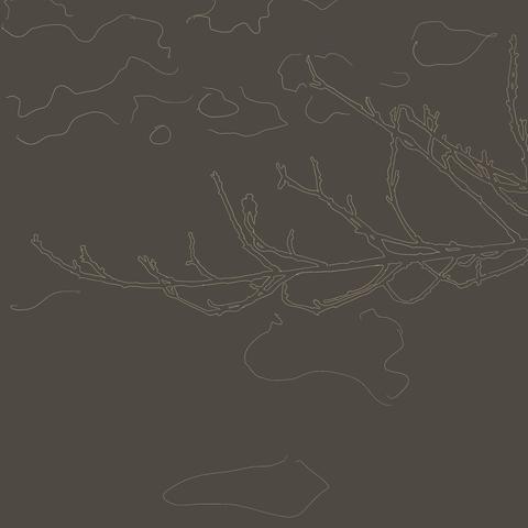 Gray background with a white outline of a plum tree branch before it's late winter flowering.