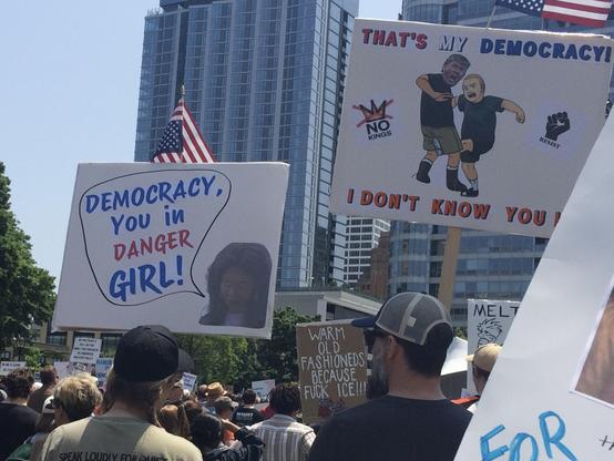 Protest signs and a crowd of people. One says “Democracy, you in danger girl!” The other sign says “That’s my democracy! I don’t know you!”