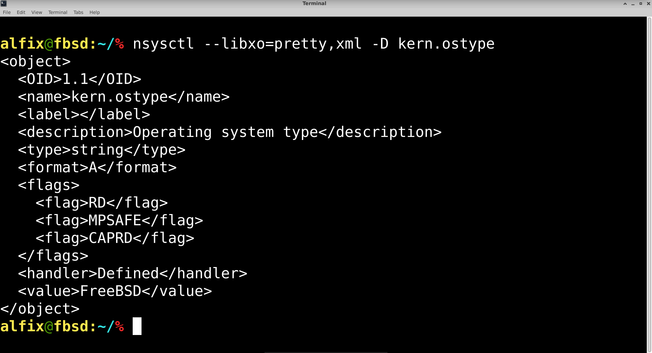 A terminal shows the nsysctl command and its output in XML:
% nsysctl --libxo=pretty,xml -D kern.ostype
<object>
  <OID>1.1</OID>
  <name>kern.ostype</name>
  <label></label>
  <description>Operating system type</description>
  <type>string</type>
  <format>A</format>
  <flags>
    <flag>RD</flag>
    <flag>MPSAFE</flag>
    <flag>CAPRD</flag>
  </flags>
  <handler>Defined</handler>
  <value>FreeBSD</value>
</object>