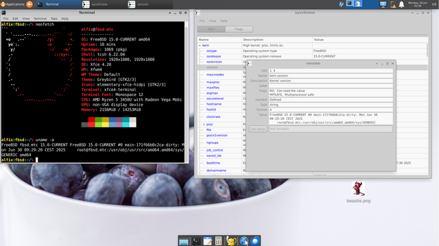 Screenshot of a FreeBSD 15.0-CURRENT desktop running Xfce 4.20 with a terminal window showing neofetch output. System details include an AMD Ryzen 5 3450U CPU with Radeon Vega Mobile graphics, 1920x1080 resolution, and 2.1 GiB memory used. The terminal shell is tcsh, and 1069 packages are installed via pkg. Another terminal shows uname -a output confirming the kernel was built on June 30, 2025. In the background, the sysctlview GUI is open, displaying kernel version information. The desktop background features a photo of blueberries, and a small Beastie icon is visible on the desktop.