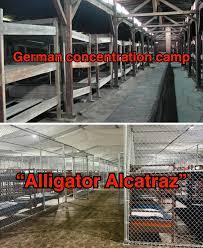 Comparison photo of "Auschwitz" vs Trump's "Alligator Alcatraz" detention camp in Florida.
