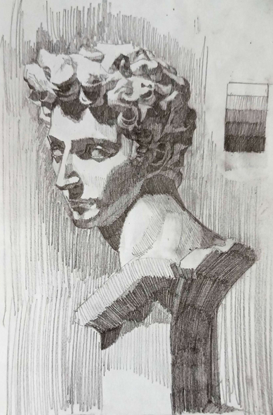 My study value of a head statute