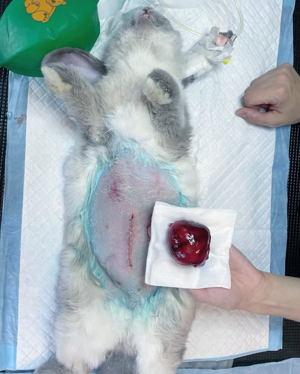 After surgery