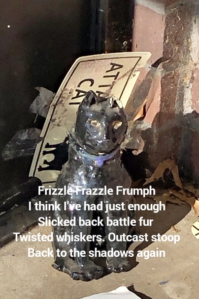 Frizzle Frazzle Frumph I think I've had just enough Slicked back battle fur Missing whiskers. Outcast stoop. Back to the shadows again