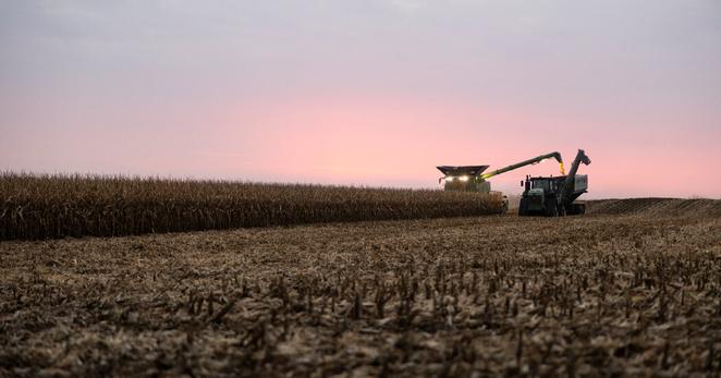The weedkiller atrazine, widely used on corn and other crops in the United States, has been banned in Europe for years.