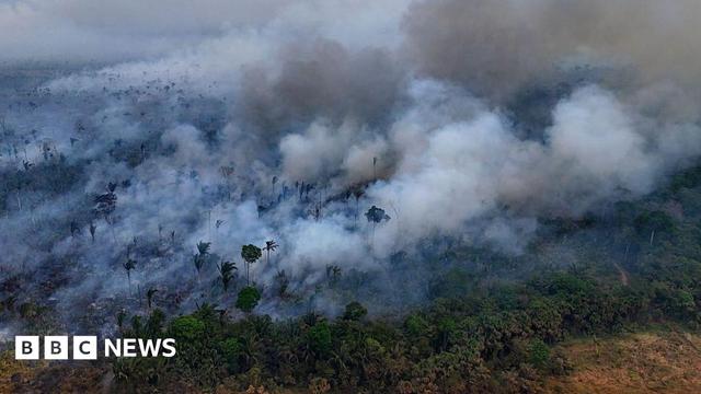 Aerial shot of dense green rainforest with thick clouds of smoke rising up into the air