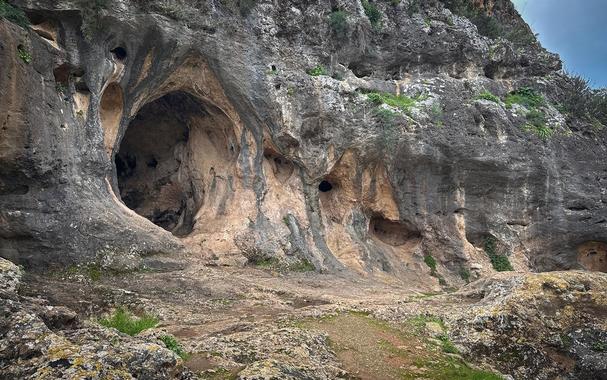 <p>The cave of Es-Skhul, Mount Carmel, Israel. Photo supplied by the author</p>