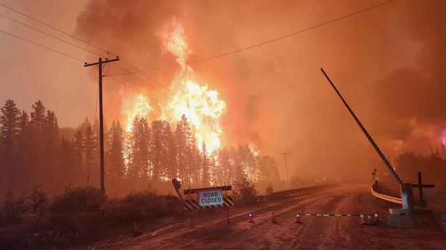 Un feu de forêt près d'une route.