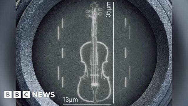 A diagram indicating the size of the violin through a microscope