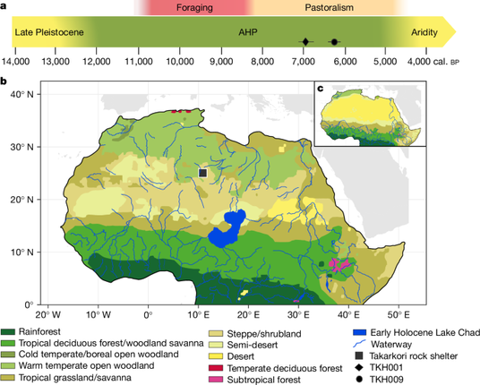 Ancient DNA from the Green Sahara reveals ancestral North African lineage