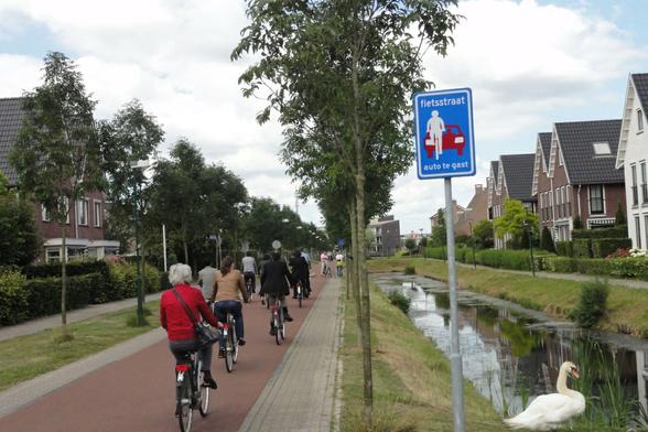 A group of seven bicyclists ride down a red brick path to the left of a canal and single white swan inHouton, the Netherlands   