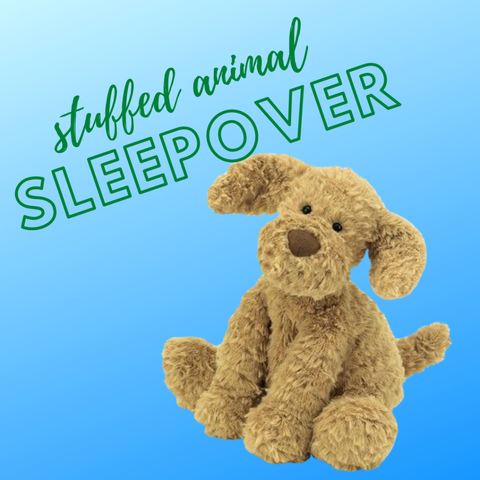 Stuffed Animal Sleepover at East