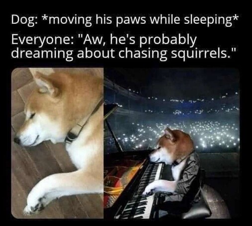 Dog: *moving his paws while sleeping*
Everyone: "Aw, he's probably dreaming about chasing squirrels."
Photo of dog playing piano at a stadium concert.