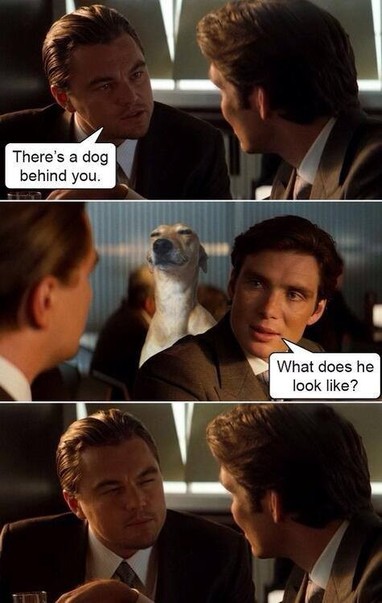Meme. Leonardo Dicaprio and Cillian Murphy in Inception.
Top panel, Leonardo says "There's a dog behind you."
Middle panel, Cillian says "What does he look like?" Behind him is a dog from another meme with narrowed eyes.
Bottom panel, Leonardo does an impression of the dog.