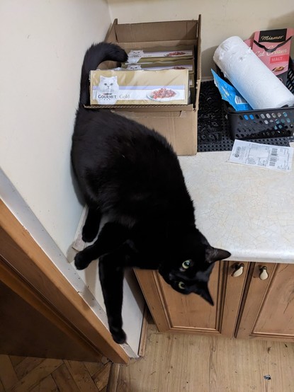 A black cat with green eyes lying on a kitchen work surface and rolling around