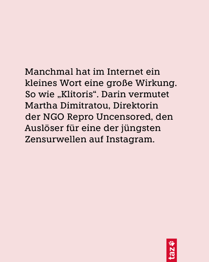 Manchmal hat im Internet ein kleines Wort eine große Wirkung. So wie „Klitoris“. Darin vermutet Martha Dimitratou, Direktorin der NGO Repro Uncensored, den Auslöser für eine der jüngsten Zensurwellen auf Instagram.