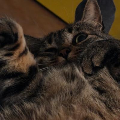 iaia999@livellosegreto.it