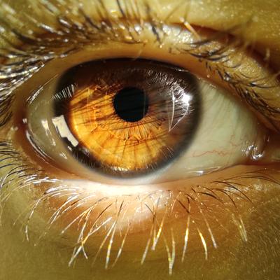 pennacaprina@livellosegreto.it