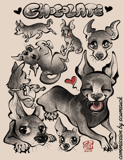 8 black and white doodles of Chocolate the Chihuahua.  The poses are (from left to right, clockwise), her running, her licking her nose, her staring at the camera with big eyes, her rolling on her back, her basking with her eyes closed and tongue out happily, a 3/4ths cartoony view, her resting on the floor with a tired expression, and her sitting on  her butt with her belly up