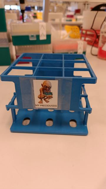porta-provette con un immagine di Gollum che ha un porta provette al posto dell'anello