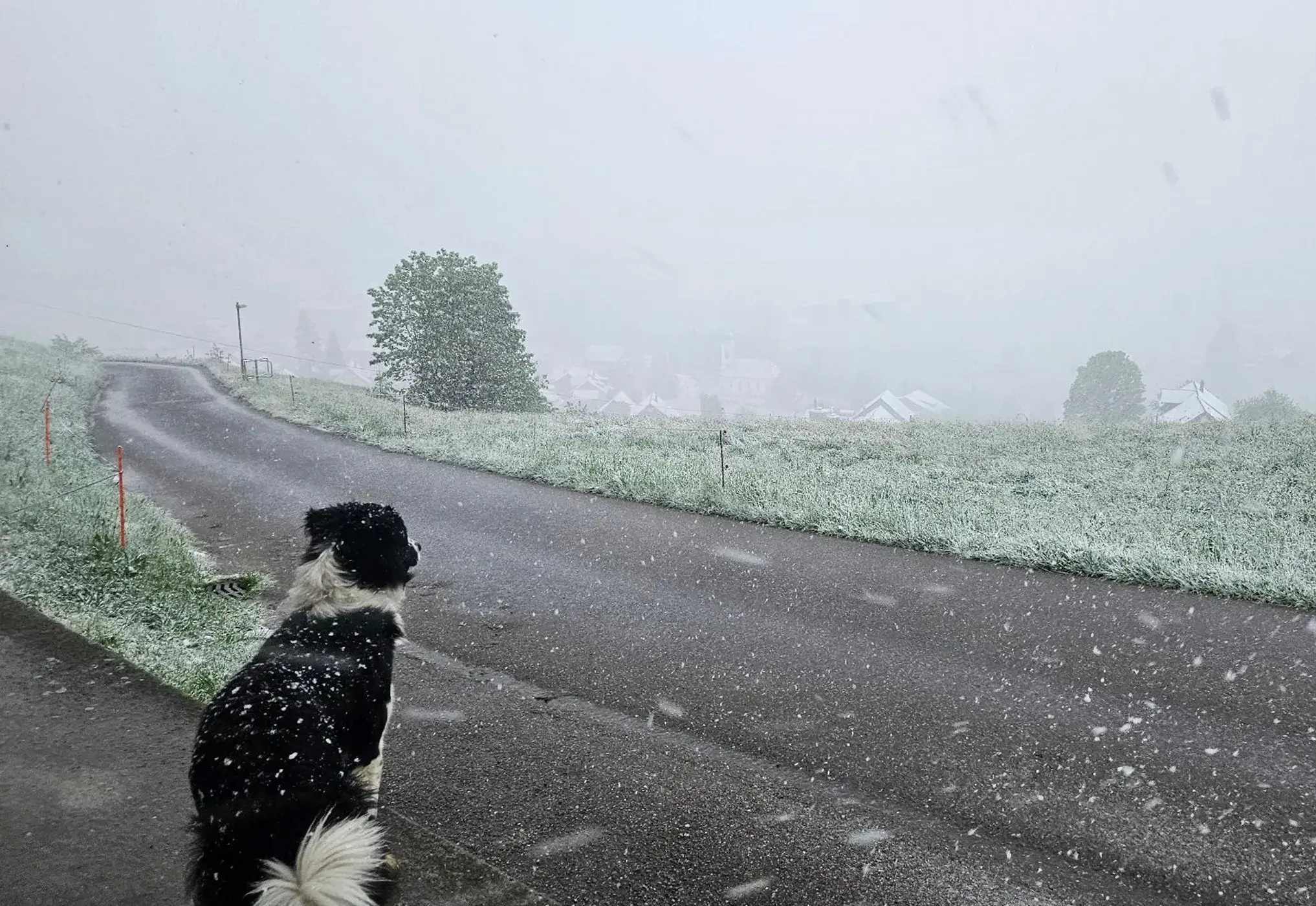 Une météo humide et fraîche est en vue pour ce week-end de l'Ascension. Il faudra de plus compter avec des routes parfois enneigées jusqu'en moyenne montagne. Plus de détails dans le #blogmeteosuisse du jour : https://bit.ly/48ZNutM Carte d'alerte #neige : https://bit.ly/4uc0vJg(Original Bluesky: https://bsky.app/profile/meteosuisse.ch/post/3mlqhwp5pe72z)