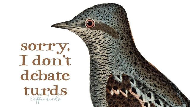 A painting of a bird beside the text "sorry, I don't debate turds"