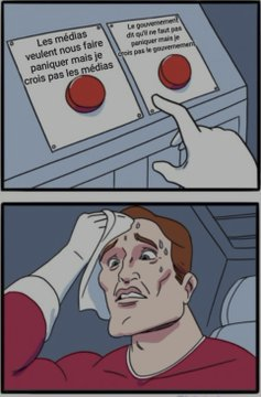 Même de choix cornélien entre deux boutons : 
1 - "Les médias veulent nous faire paniquer mais je ne crois pas les médias"
2 - "Le Gouvernement dit qu'il ne faut pas paniquer mais je ne crois pas le Gouvernement"