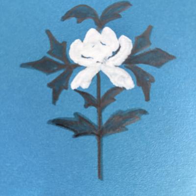 zimei