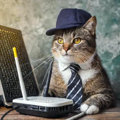 sikorski@mastodon.art