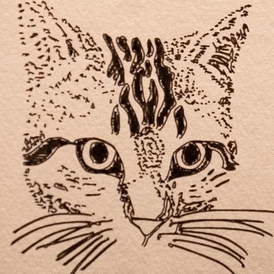 calico