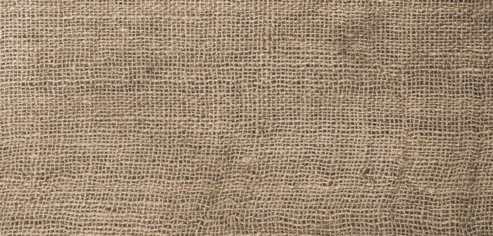 WormsandBones's profile header