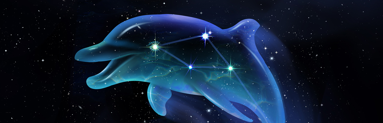 jopi's profile header