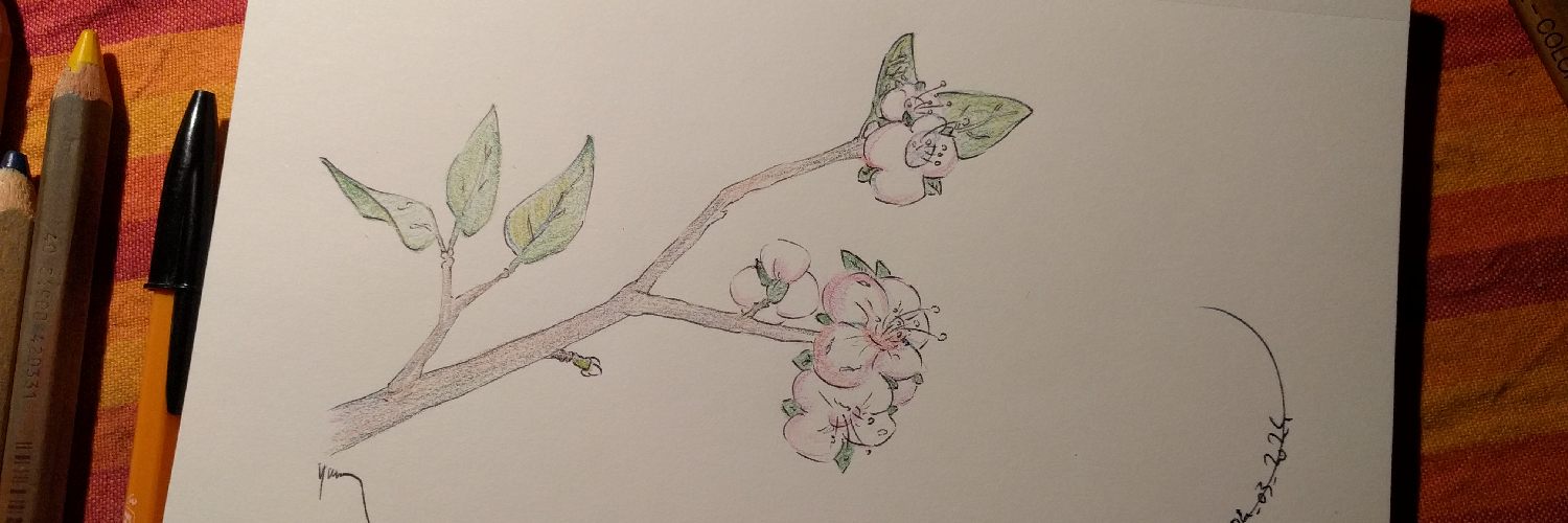 yrdael's profile header