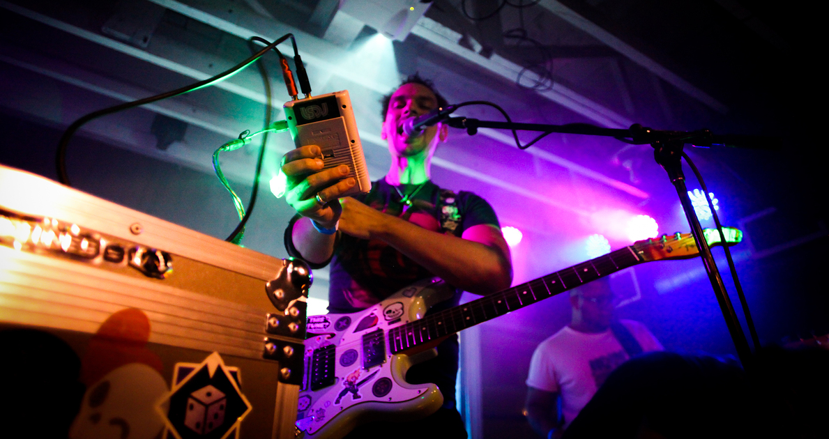 curiousquail's profile header