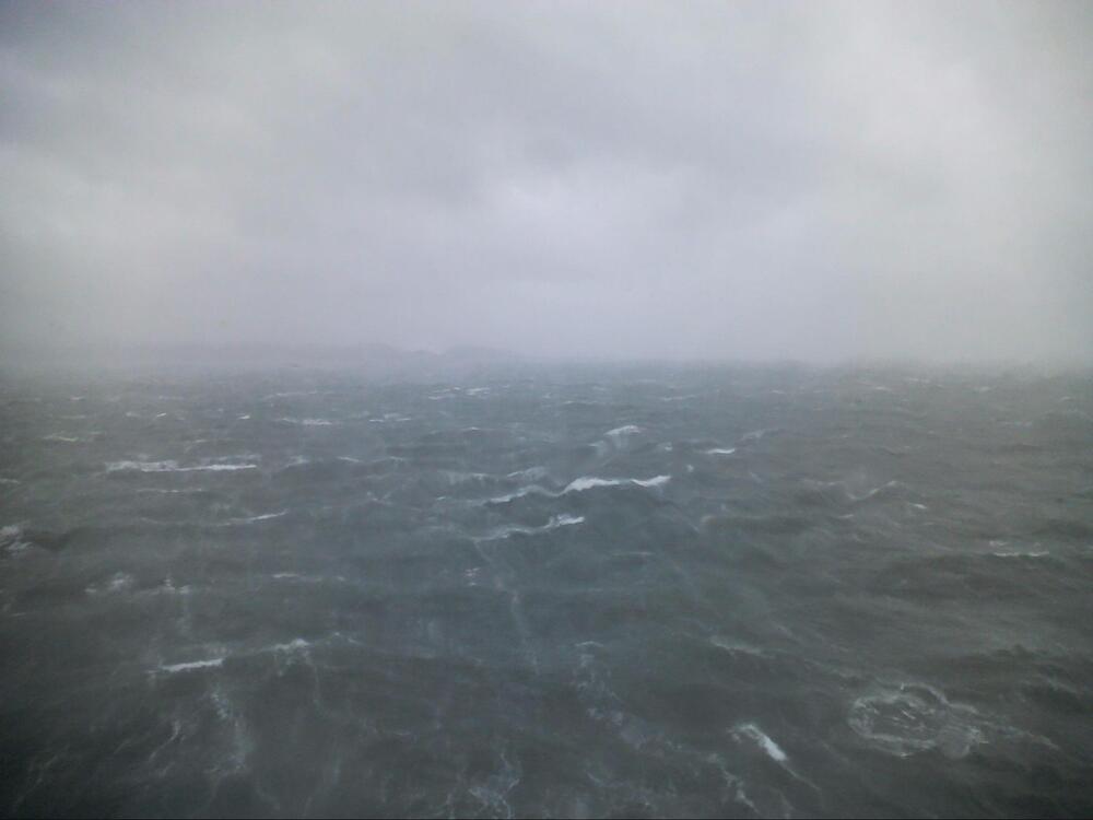 Rockerz's profile header