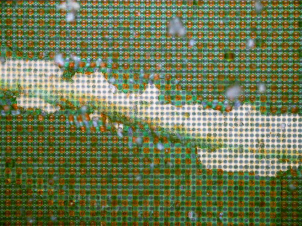 stephen_cornford's profile header