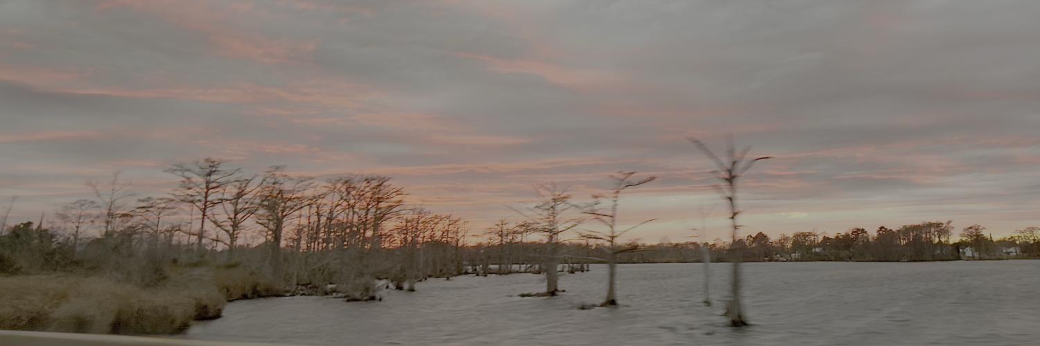 densmith's profile header