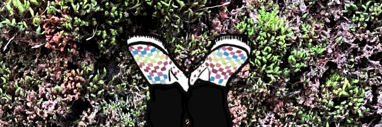 DayDreems's profile header