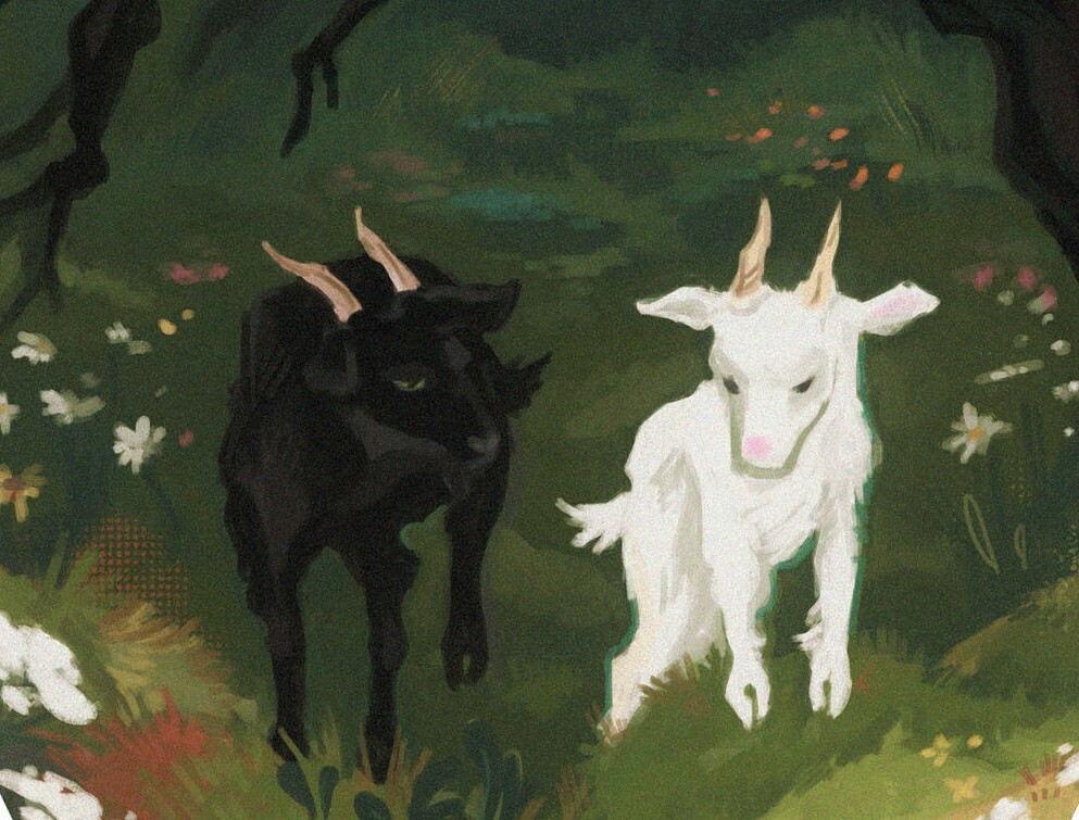 yngwer's profile header