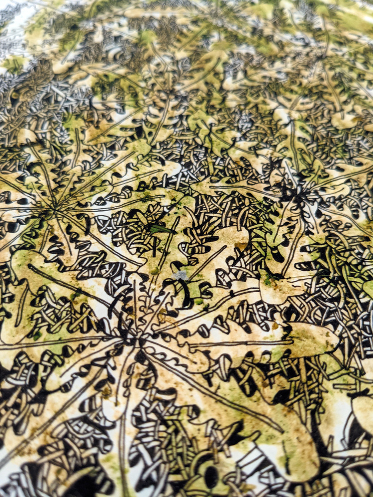 KatEmm's profile header