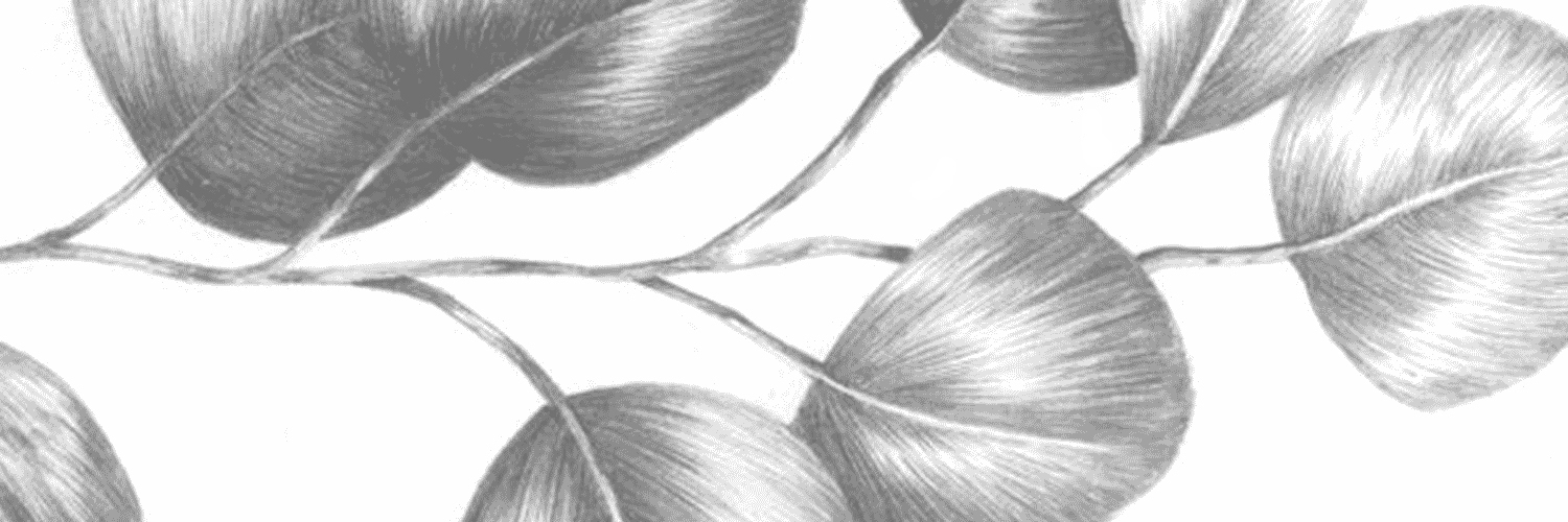 csalgueiro's profile header