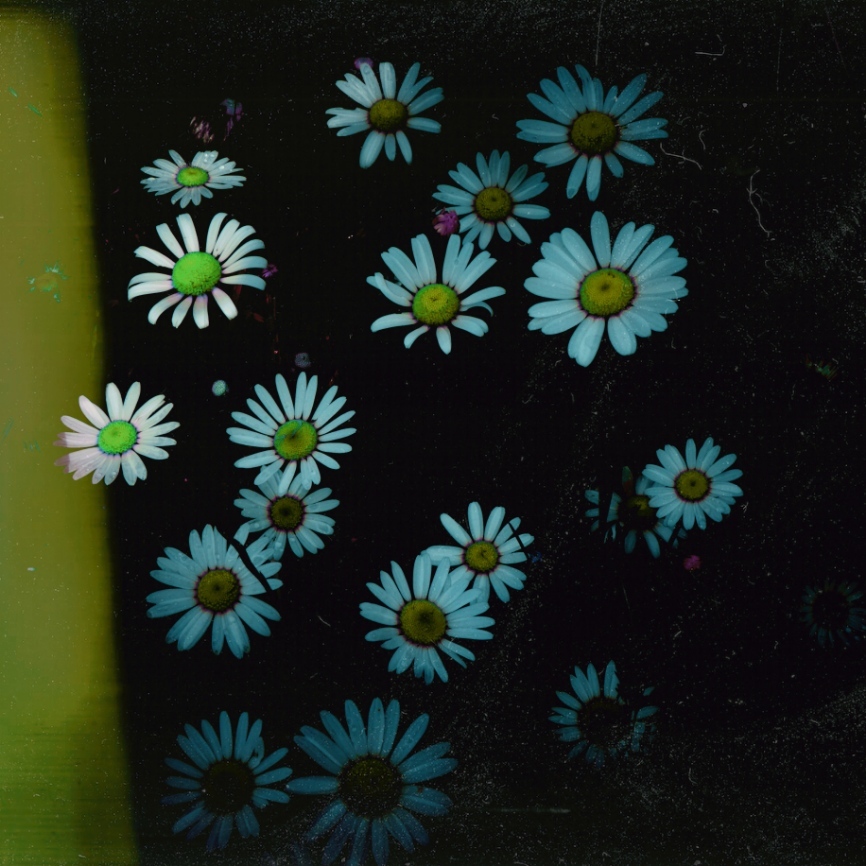 Wongsusie's profile header