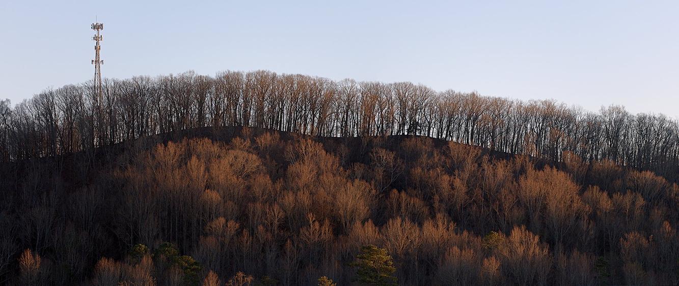 analogfusion's profile header