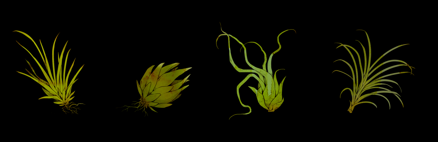 ionomycin's profile header