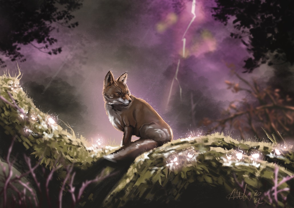 mariibyrd's profile header