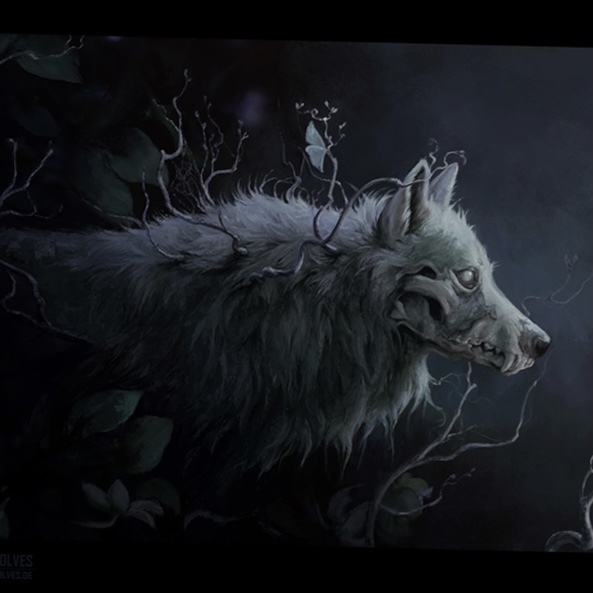 companyofwolves's profile header