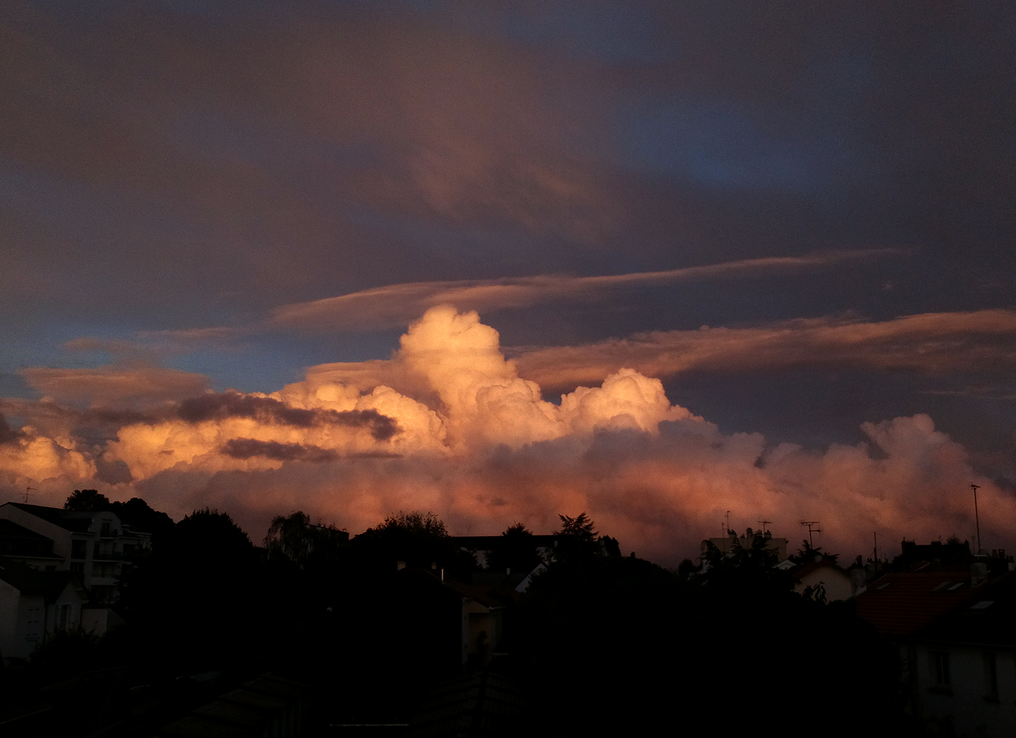 torahn's profile header